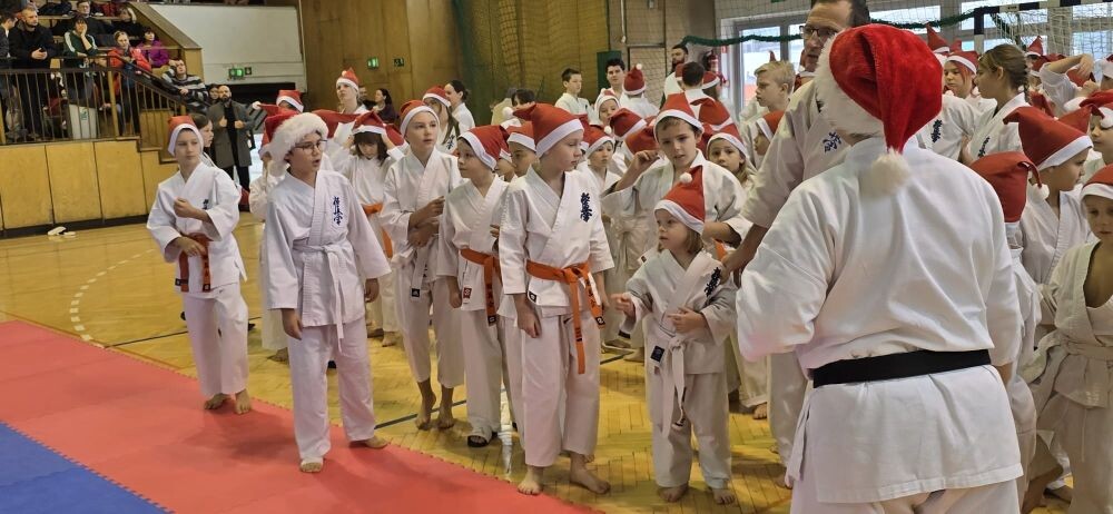 Rywalizacja i dobra zabawa – za nami Turniej Mikołajkowy Karate!/fot. FB Anna Krzysteczko, Rudzki Klub Kyokushin Karate