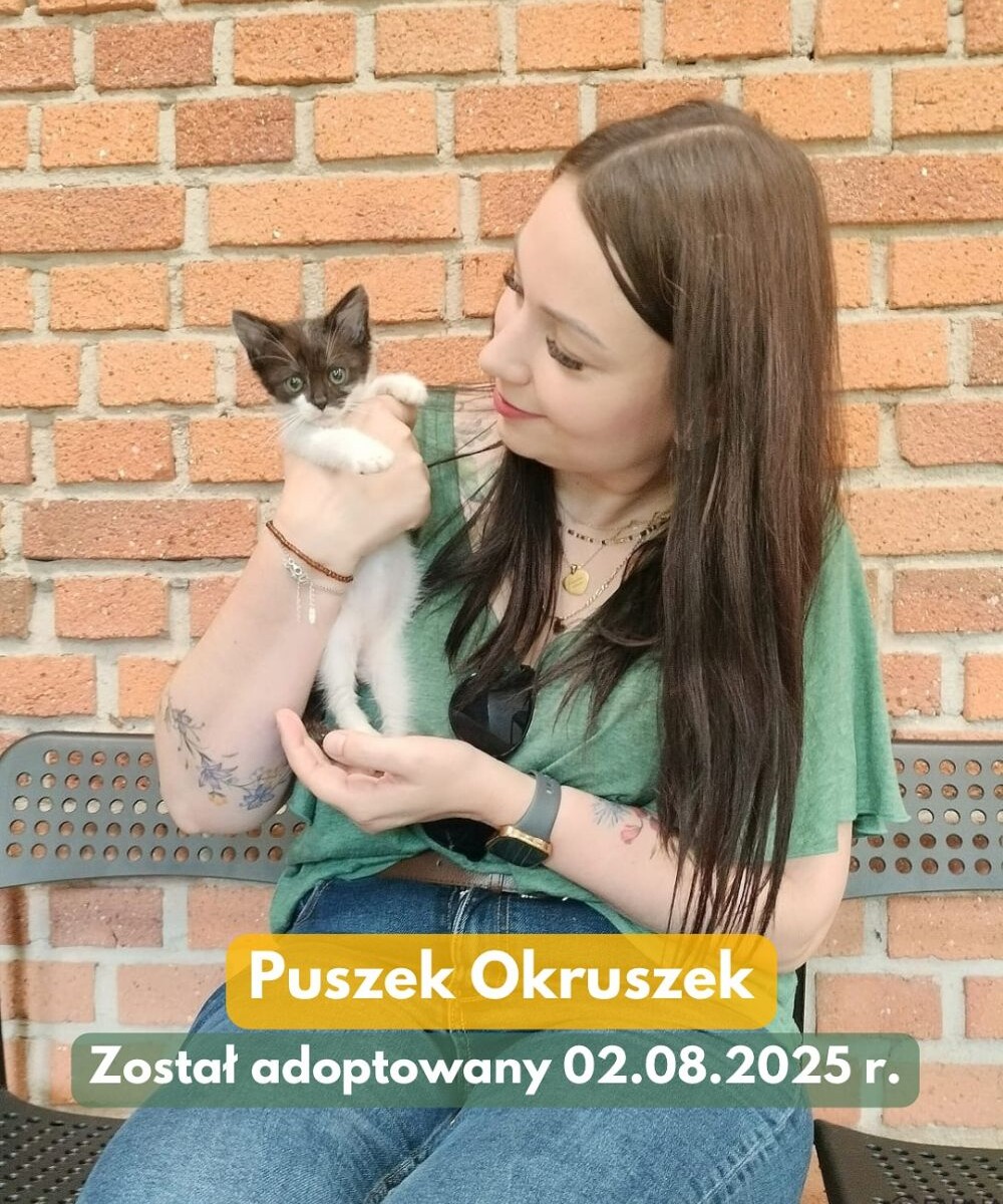 Kolejne zwierzaki znalazły dom – sprawdź adopcyjne podsumowanie tygodnia/fot. TOZ Fauna