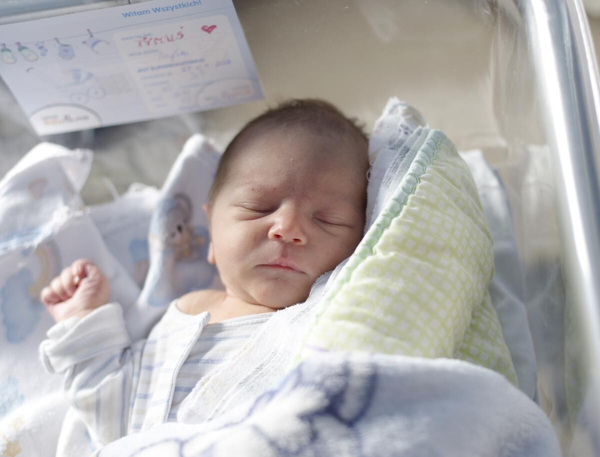 Tymoteusz Sołtysiak