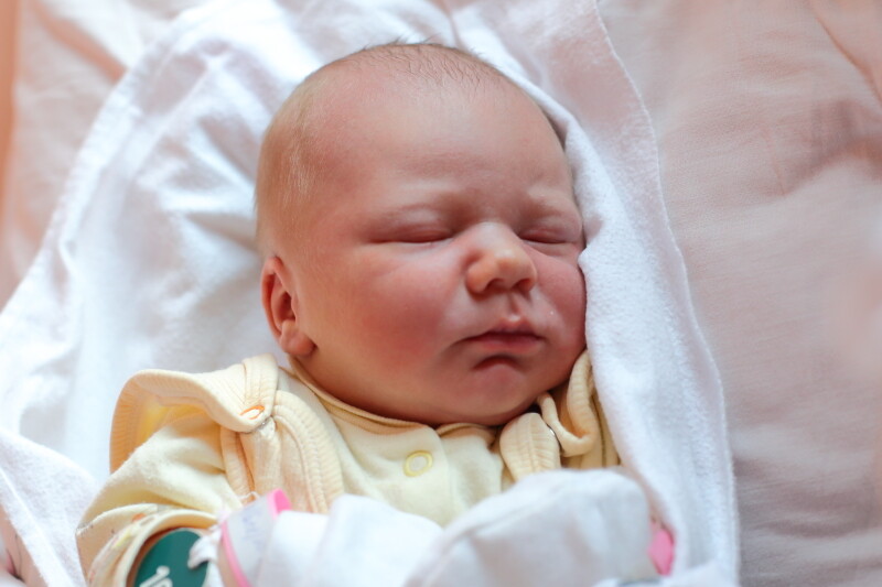 Tymoteusz Zgodziński