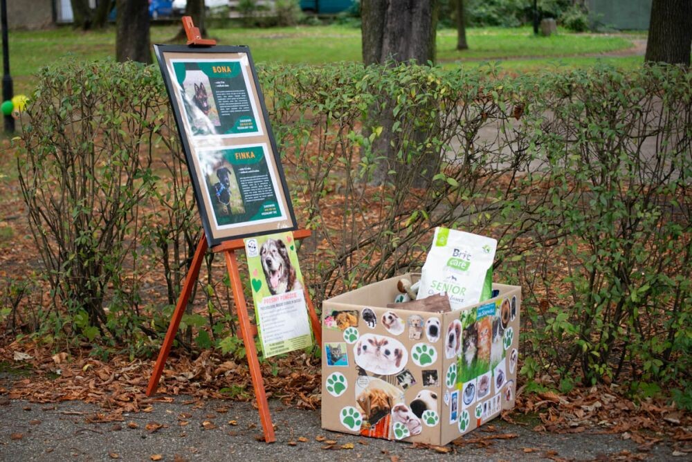 30. urodziny TOZ Fauna/fot. Natalia Salwiczek