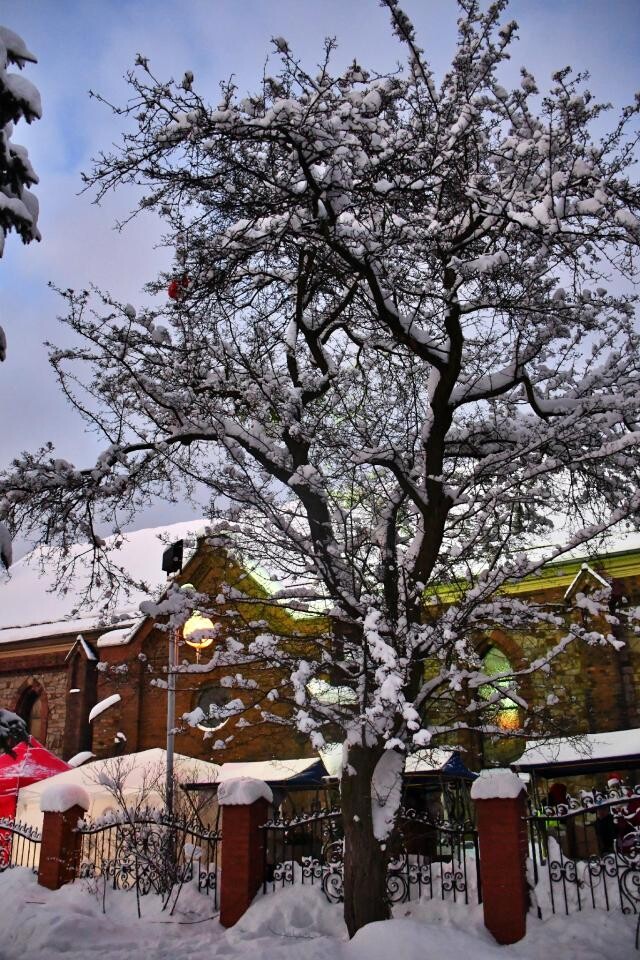 V Jarmark Bożonarodzeniowy przy kościele pw. Matki Bożej Różańcowej / fot. Jacek D. Knapik