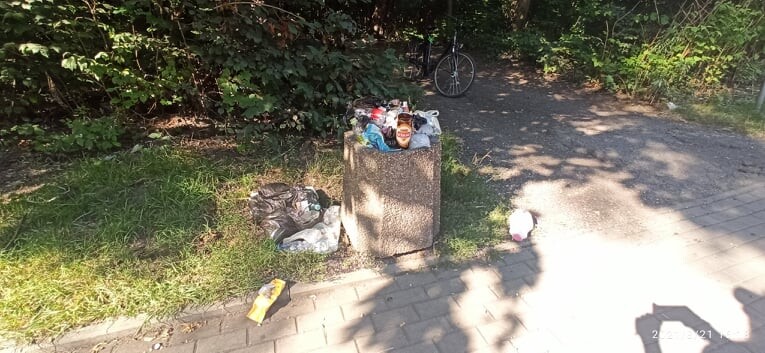 W Lasku Bolońskim postawiono pierwszy kosz na śmieci. Czy odpady znikną z okolicy?