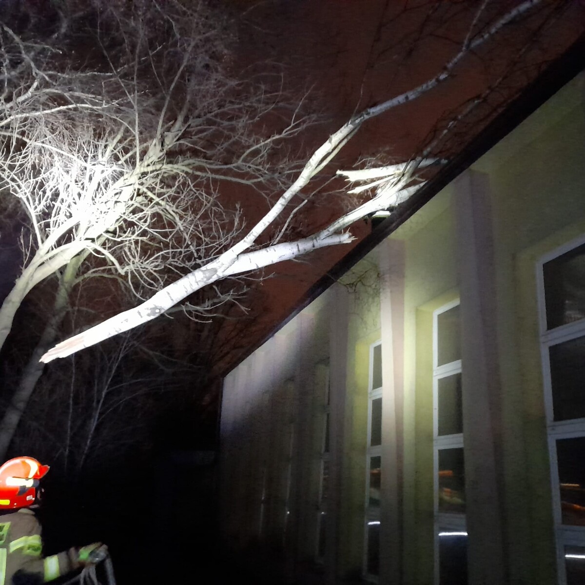 Wichura w Rudzie Śląskiej. Komenda Miejska Państwowej Straży Pożarnej w Rudzie Śląskiej poinformowała, że w związku z porywistym wiatrem w ciągu ostatniej doby, czyli 17 lutego, strażacy rudzkiej komendy wraz z ochotnikami interweniowali 36 razy. 28 zdarzeń związanych było z usuwaniem skutków niżu atmosferycznego w szczególności: powalone, pochylone lub nadłamane drzewa – 17 zdarzeń, uszkodzone, zerwane elementy dachów – 9 zdarzeń, zalane posesje, uszkodzone banery – 2 zdarzenia (fot. PSP w Rudzie Śląskiej).