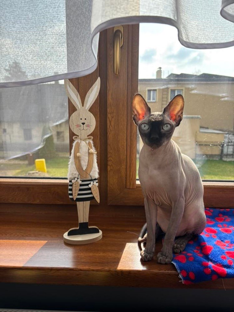 Z okazji Świąt Wielkiej Nocy zorganizowaliśmy konkurs fotograficzny „Wielkanocny Akcent”. / fot. Czytelnicy