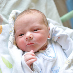 Wiktor Andrzej Schaefer