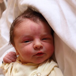 Wiktor Wojciech Kuśnierz