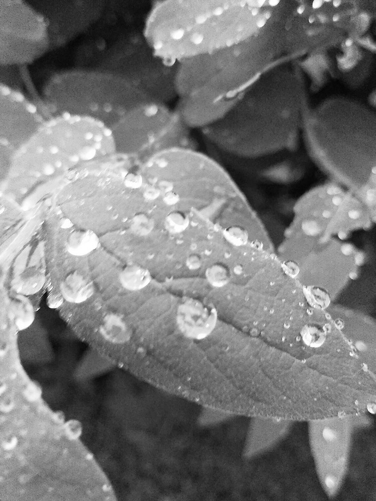 Pomimo deszczowej i dość chłodnej pogody, wiosna na dobre zadomowiła się w Rudzie Śląskiej. Zobaczcie zdjęcia naszych czytelników!