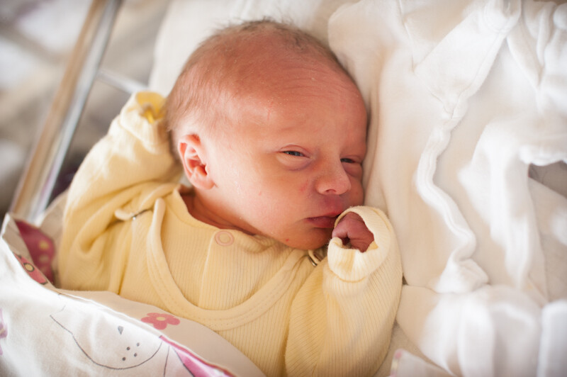 Wojciech Paluchewicz