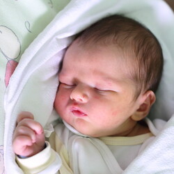 Wojciech Marcin Gawęda