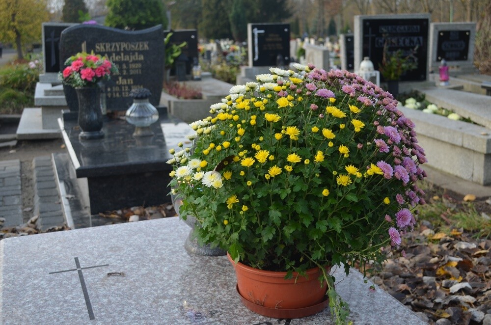 Dzisiaj obchodzimy uroczystość Wszystkich Świętych. 1 listopada tłumnie odwiedzamy groby swoich bliskich. Na cmentarzach zapłonęło tysiące zniczy.

fot. Jacek Knapik