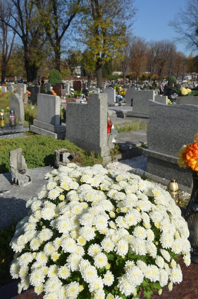 Dzisiaj obchodzimy uroczystość Wszystkich Świętych. 1 listopada tłumnie odwiedzamy groby swoich bliskich. Na cmentarzach zapłonęło tysiące zniczy.

fot. Jacek Knapik