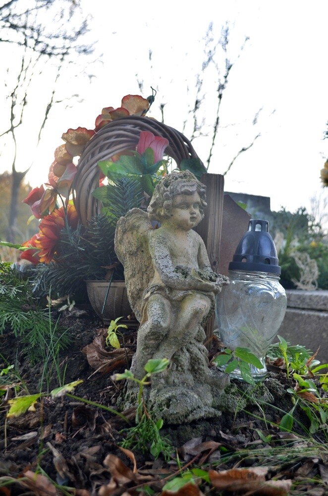 Dzisiaj obchodzimy uroczystość Wszystkich Świętych. 1 listopada tłumnie odwiedzamy groby swoich bliskich. Na cmentarzach zapłonęło tysiące zniczy.

fot. Jacek Knapik