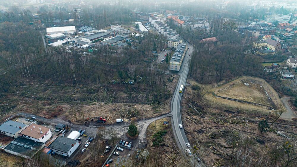Trwa wycinka drzew w dzielnicy Ruda pod trasę N-S/fot. DronRuda Krzysztof Faber