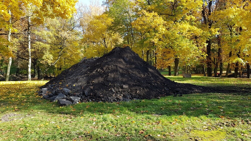 55 drzew w Parku Dworskim w Nowym Bytomiu zostanie wyciętych. Rozpoczęła się realizacja kolejnego etapu budowy Traktu Rudzkiego.