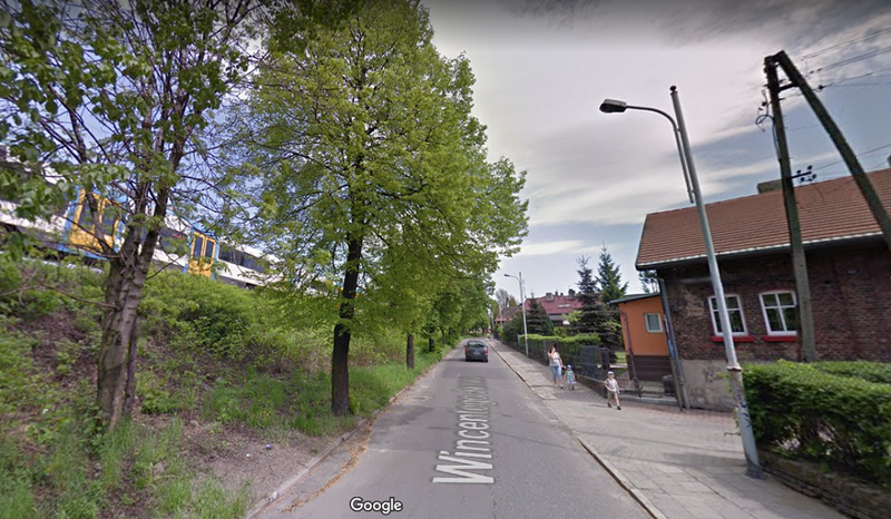 Wycinka drzew wzdłuż ulicy Janasa częścią przebudowy. Mieszkańcy podnoszą alarm