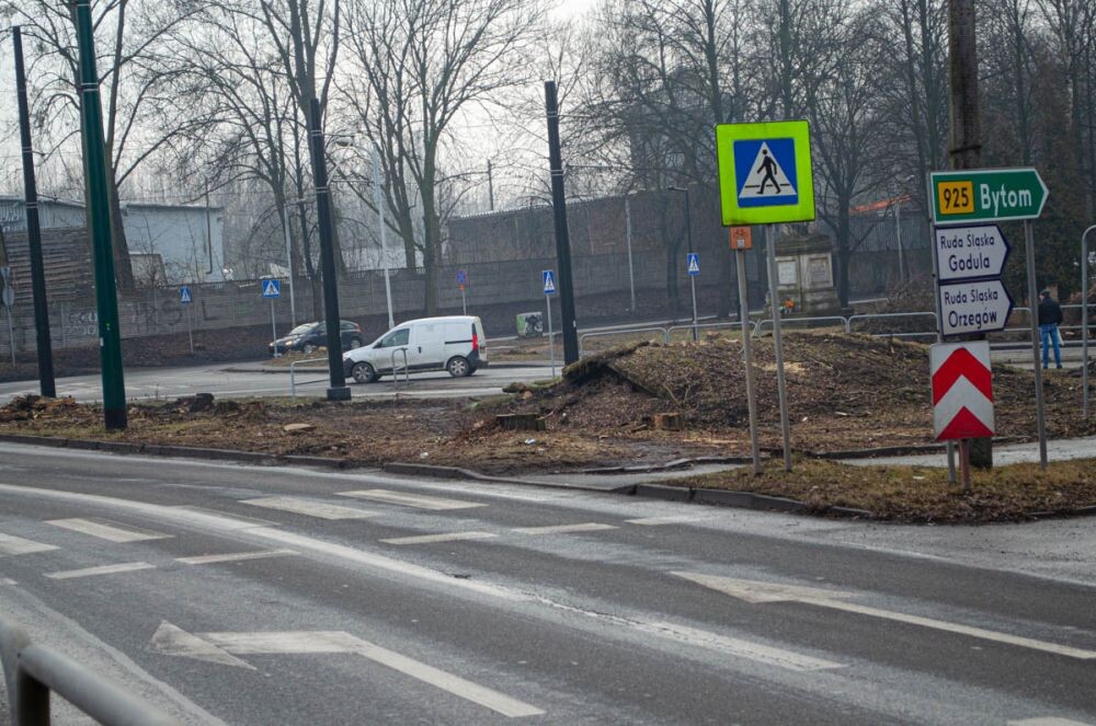 Wycinka drzew na Chebziu/fot. Magdalena Faber