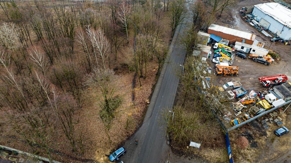Wycinka drzew na Chebziu/fot. DronRuda Krzysztof Faber