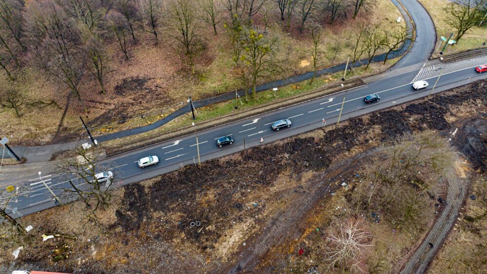 Wycinka drzew na Chebziu/fot. DronRuda Krzysztof Faber