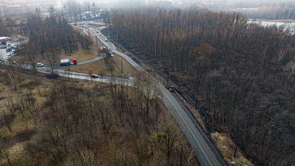 Wycinka drzew na Chebziu/fot. DronRuda Krzysztof Faber