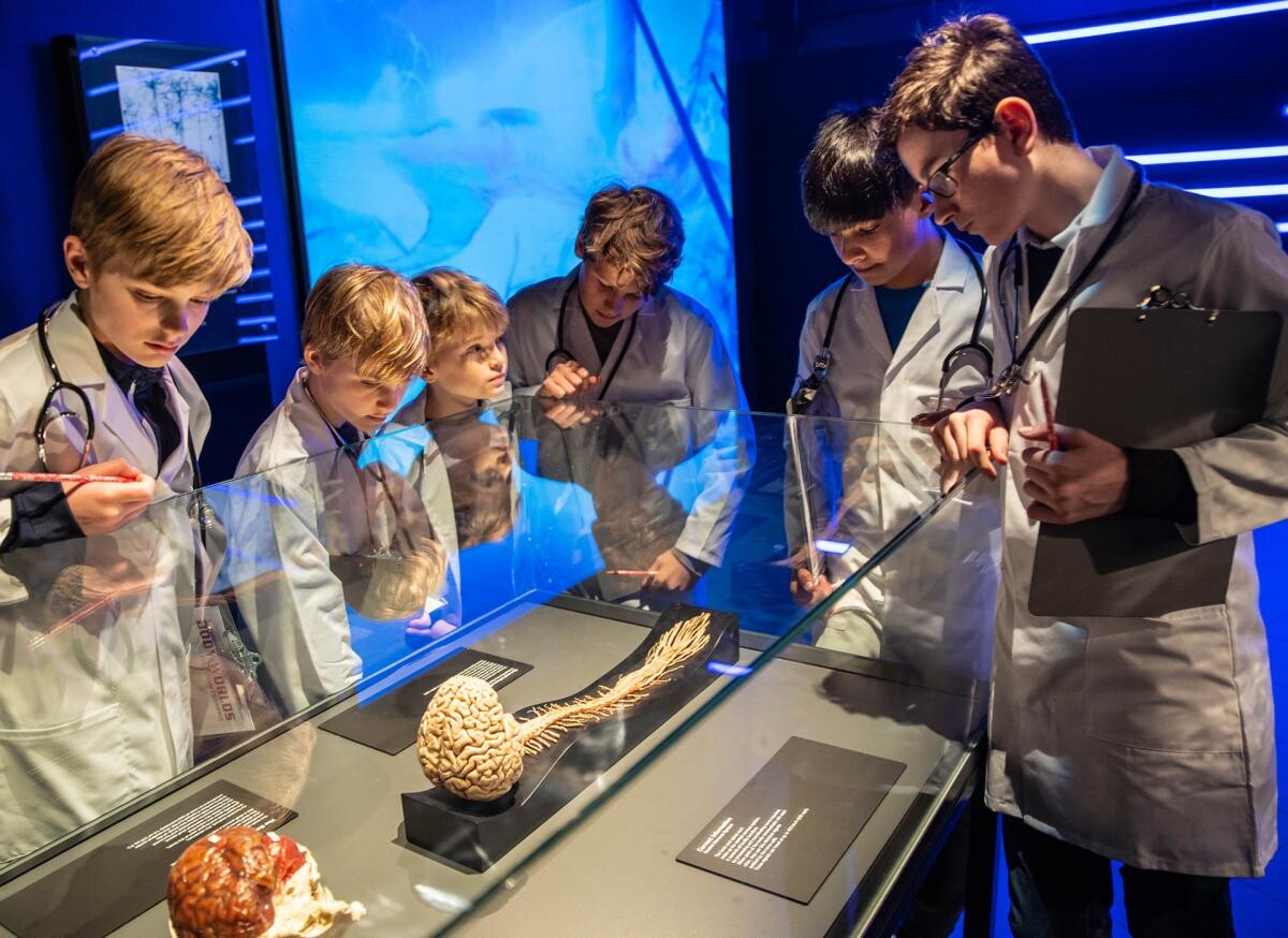 Wystawa BODY WORLDS powraca do Katowic z nową ekspozycją!