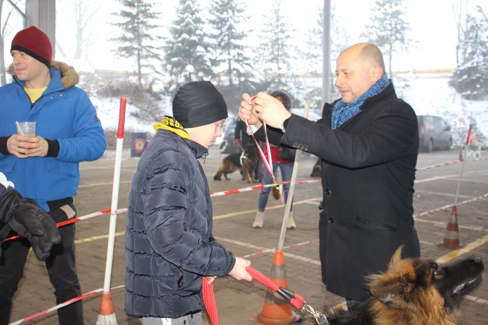 Już po raz czwarty w Rudzie Śląskiej obyła się charytatywna Wystawa Mikołajkowa Owczarków Niemieckich.

fot. UM Ruda Śląska
