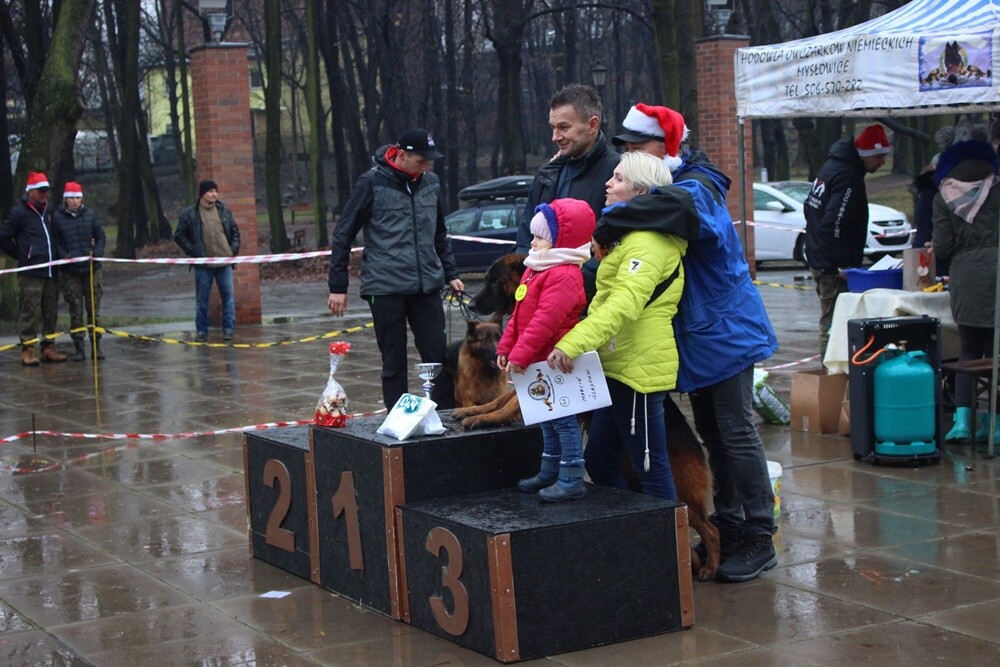 W niedzielę w parku miejskim im. Augustyna Kozioła w Rudzie odbyła się II wystawa owczarków niemieckich. Wzięło w niej udział około 100 czworonogów z całej Polski! Wystawa miała charakter charytatywny. Podczas wydarzenia zebrano prezenty dla podopiecznych Caritasu.