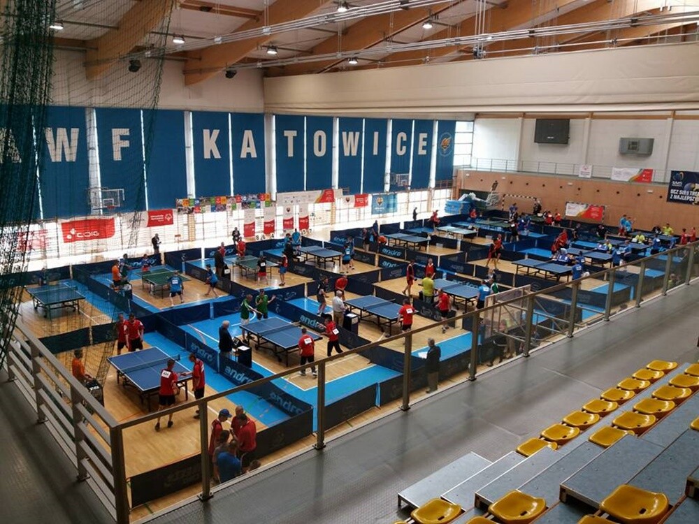 Rudę Śląską na XI Letnich Igrzyskach Olimpiad Specjalnych Katowice, Chorzów, Mikołów 9-12.06.2018 reprezentowało 22 zawodników.