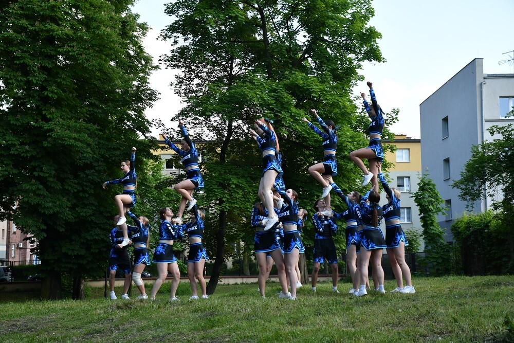 We wtorek, 30 maja w ramach obchodów Metropolitalnego Święta Rodziny pod hasłem "Rodzina – forum dialogu", w ogrodach Śląskiego Teatru Impresaryjnego odbył się XIII Festyn Rodzin Zastępczych.

fot. Jacek Knapik