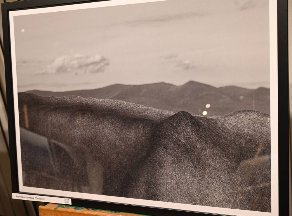 Miłośnicy gór w jednym miejscu. Za nami XIX Spotkanie Górskie „Lawiny”/fot. FB Michał Pierończyk