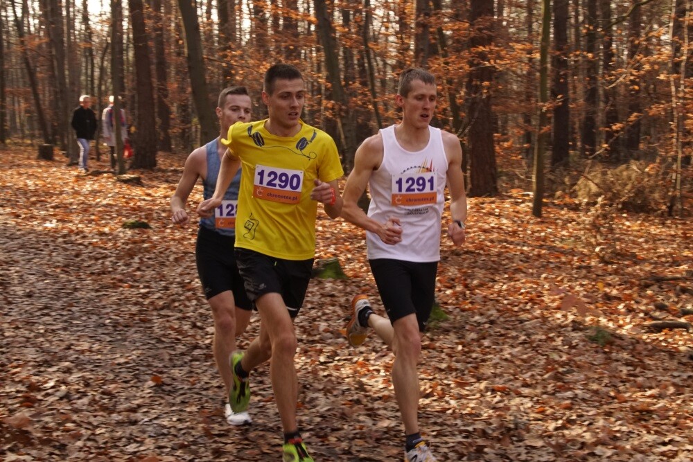 W lasach halembskich ponad 650 osób, świętowało dzisiaj 11 listopada na sportowo. Zorganizowano tam XXV Biegi Niepodległości.