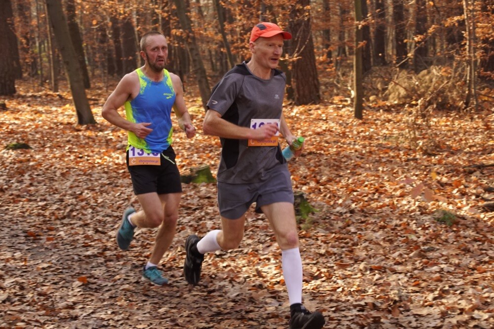 W lasach halembskich ponad 650 osób, świętowało dzisiaj 11 listopada na sportowo. Zorganizowano tam XXV Biegi Niepodległości.