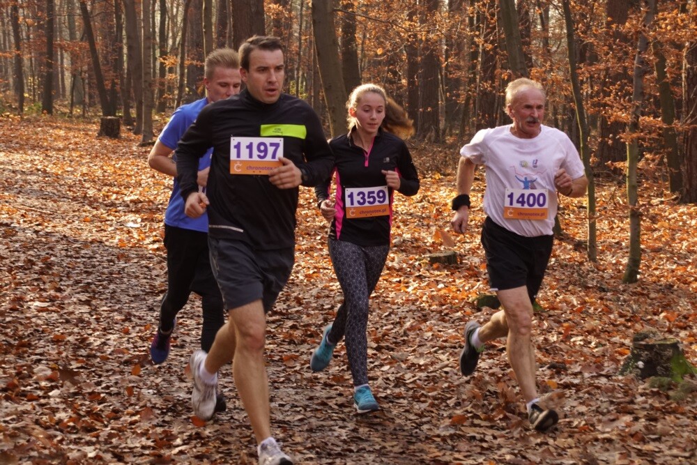 W lasach halembskich ponad 650 osób, świętowało dzisiaj 11 listopada na sportowo. Zorganizowano tam XXV Biegi Niepodległości.