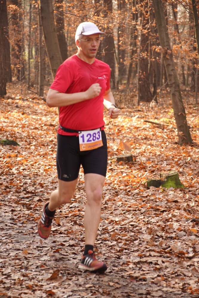 W lasach halembskich ponad 650 osób, świętowało dzisiaj 11 listopada na sportowo. Zorganizowano tam XXV Biegi Niepodległości.