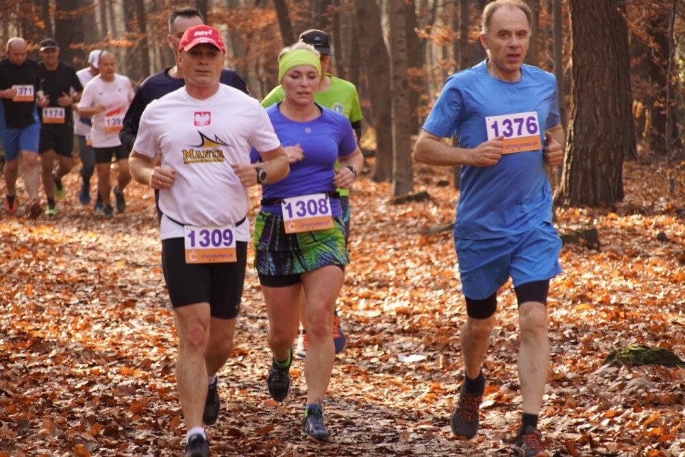 W lasach halembskich ponad 650 osób, świętowało dzisiaj 11 listopada na sportowo. Zorganizowano tam XXV Biegi Niepodległości.