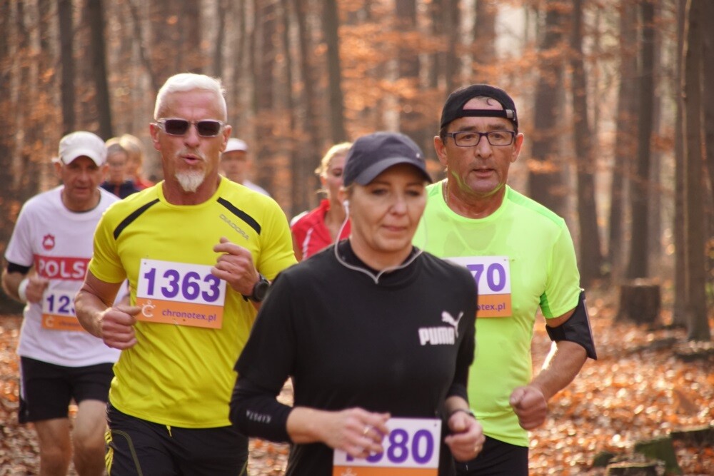 W lasach halembskich ponad 650 osób, świętowało dzisiaj 11 listopada na sportowo. Zorganizowano tam XXV Biegi Niepodległości.