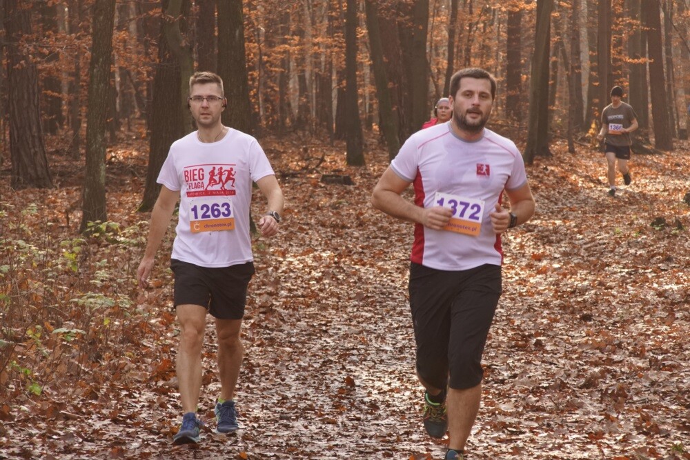 W lasach halembskich ponad 650 osób, świętowało dzisiaj 11 listopada na sportowo. Zorganizowano tam XXV Biegi Niepodległości.