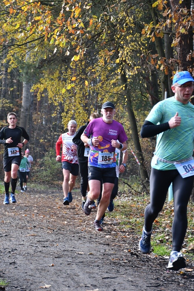 XXX Biegi Niepodległości w Rudzie Śląskiej. / fot. Jacek Knapik