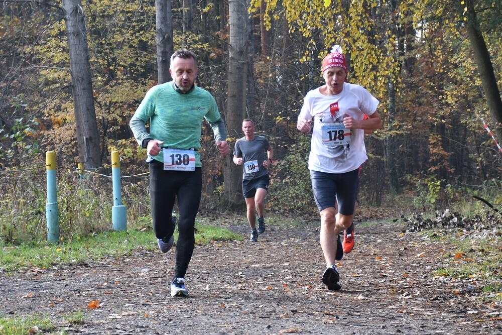 XXX Biegi Niepodległości w Rudzie Śląskiej. / fot. Jacek Knapik