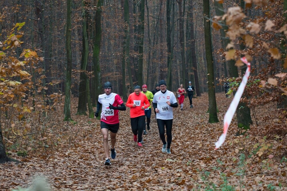 XXXI Biegi Niepodległości. / fot. Marek Faber / Krzysztof Faber / UM Ruda Śląska