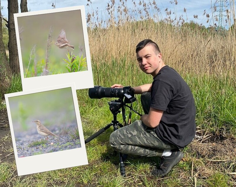 "Z dziennika rudzkiego przyrodnika" – świergotek polny na hałdzie Bielszowicach
