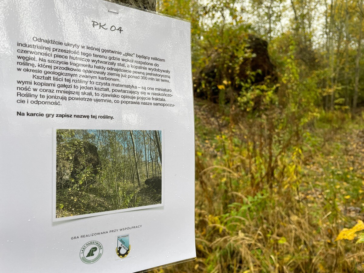 Za nami gra terenowa "Silni NATURAlnie" / fot. KS Pogoń