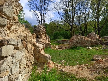 Karol Godula to jedna z najbardziej rozpoznawalnych postaci w Rudzie Śląskiej. Pamiątki po jego działalności obecne są na terenie całego miasta. Jednym z malowniczych zakątków, który warto odwiedzić, jest zamek rudzki i pozostałości domu „króla cynku”. Ruiny te znajdują się w dzielnicy Ruda, przy ulicy Bujoczka.