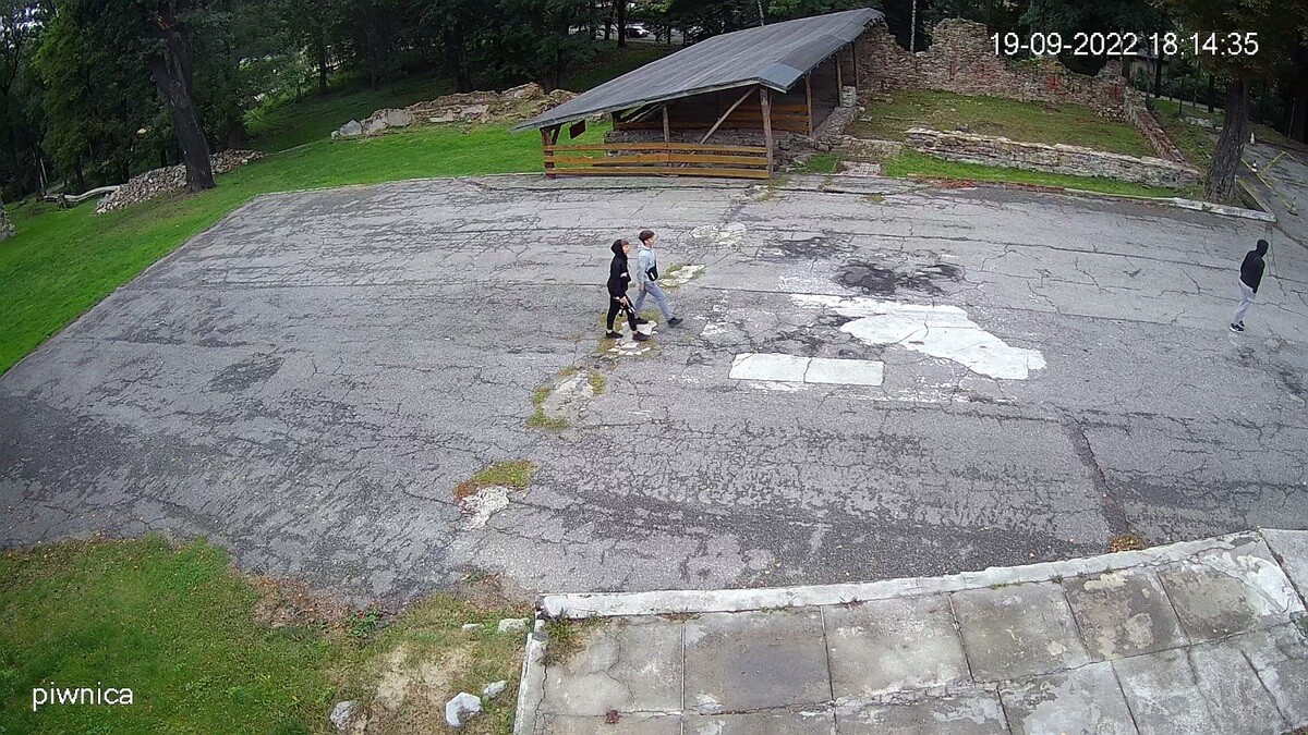 Policjanci z Komisariatu I prowadzą postępowanie w sprawie zniszczenia pszczelej pasieki przy ruinach Zamku Rudzkiego i domu Karola Goduli.