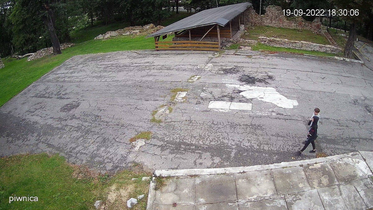 Policjanci z Komisariatu I prowadzą postępowanie w sprawie zniszczenia pszczelej pasieki przy ruinach Zamku Rudzkiego i domu Karola Goduli.