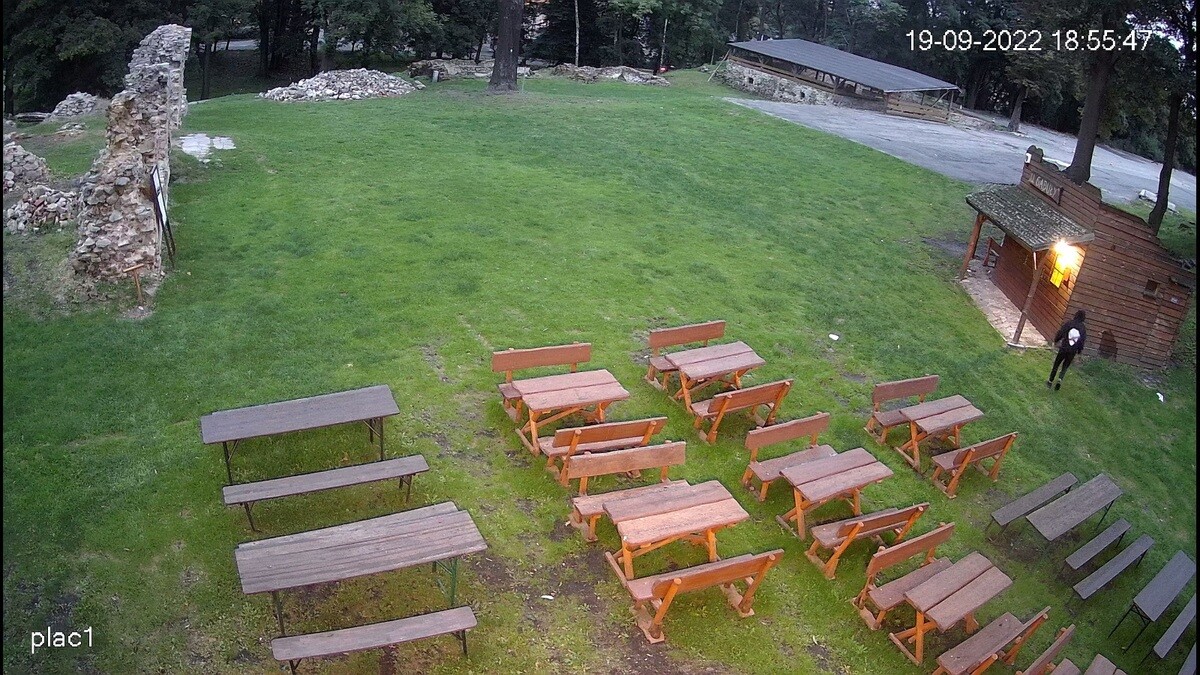 Policjanci z Komisariatu I prowadzą postępowanie w sprawie zniszczenia pszczelej pasieki przy ruinach Zamku Rudzkiego i domu Karola Goduli.