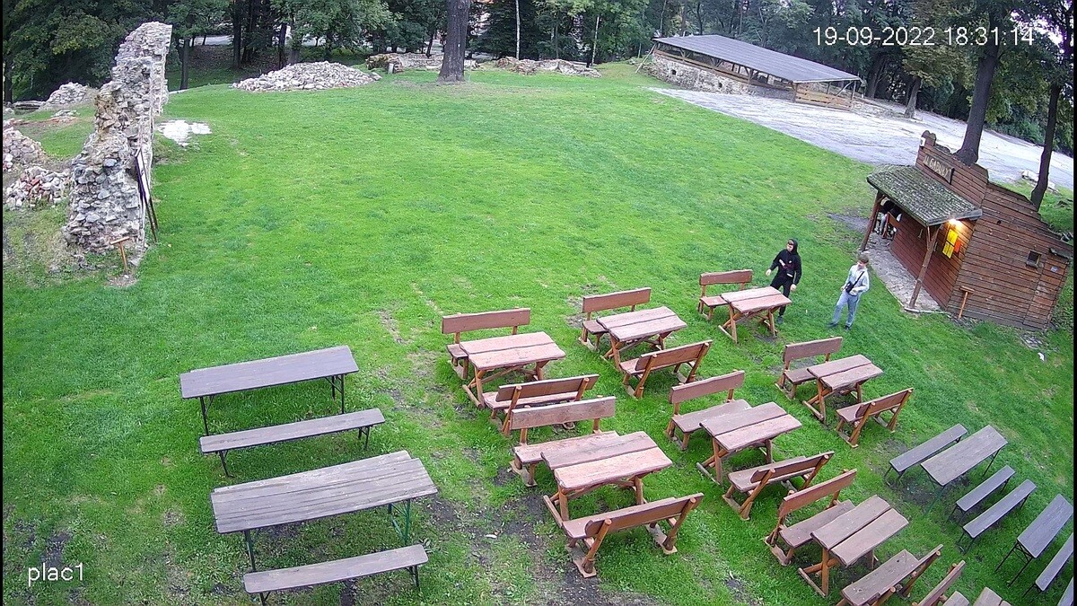 Policjanci z Komisariatu I prowadzą postępowanie w sprawie zniszczenia pszczelej pasieki przy ruinach Zamku Rudzkiego i domu Karola Goduli.