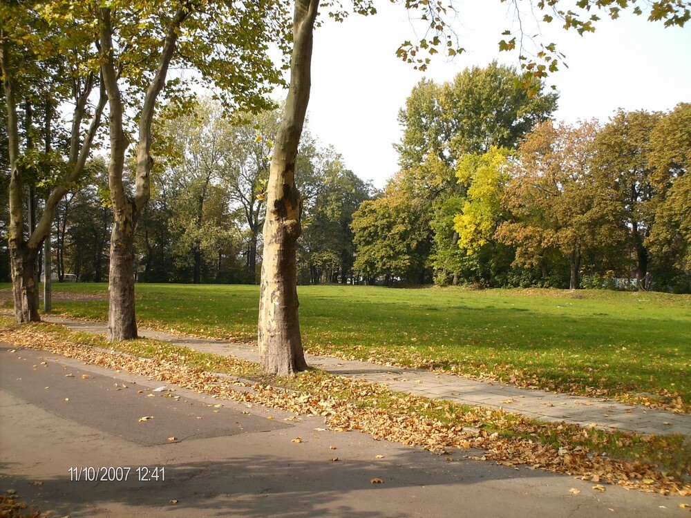 Zespół mieszkaniowy "Platany"