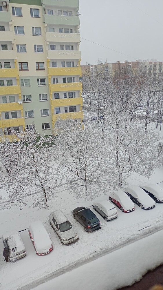 Ostatnie opady śniegu oraz niskie temperatury spowodowały, że poczuliśmy klimat ferii. Jak wygląda miasto przysypane śniegiem? Sprawdźcie w naszej galerii!

fot. Zdjęcia Czytelników