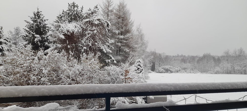 Ostatnie opady śniegu oraz niskie temperatury spowodowały, że poczuliśmy klimat ferii. Jak wygląda miasto przysypane śniegiem? Sprawdźcie w naszej galerii!

fot. Zdjęcia Czytelników